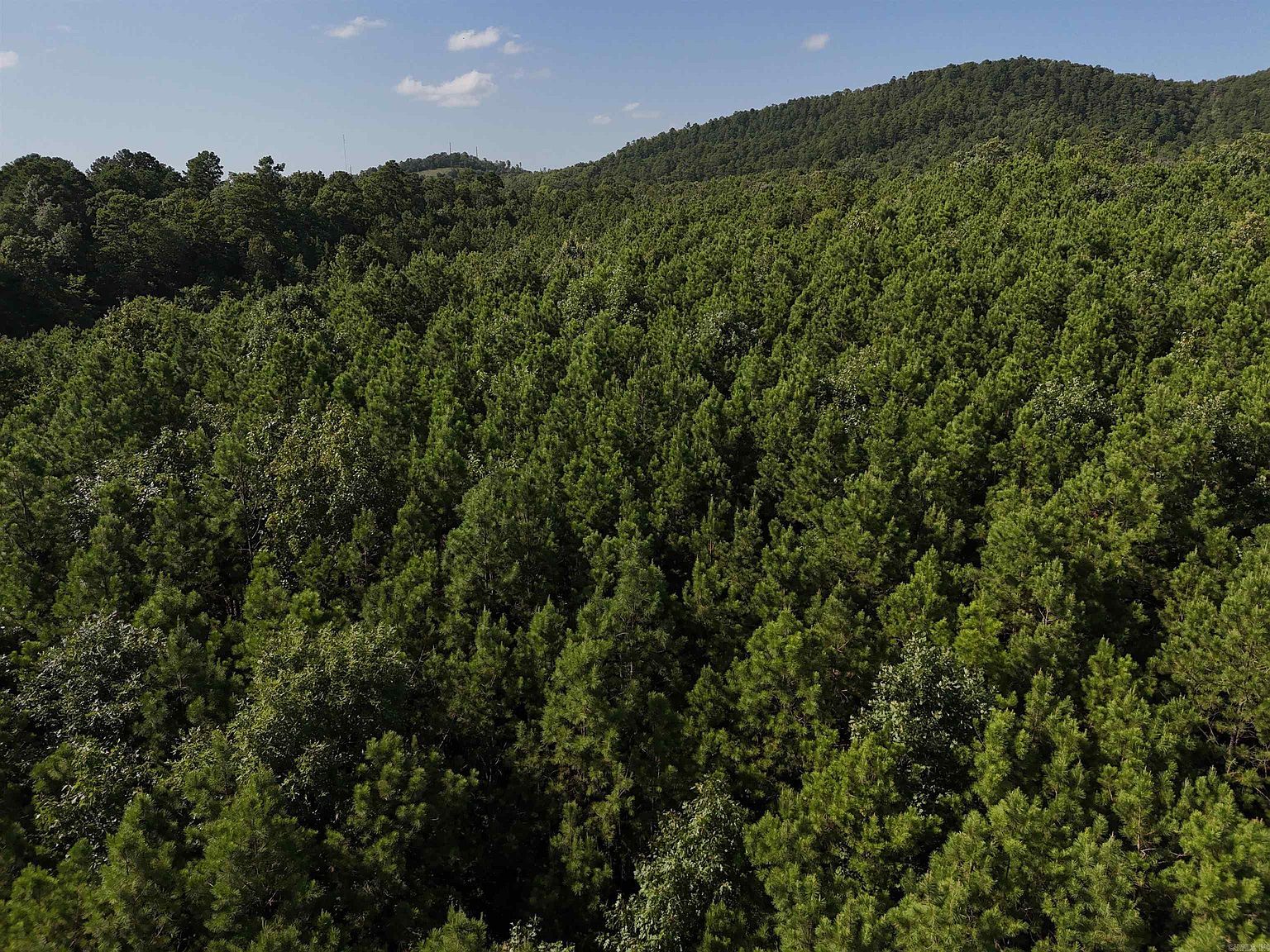 14 Polk Rd #78 Mena, AR 71953 - Thumbnail 2