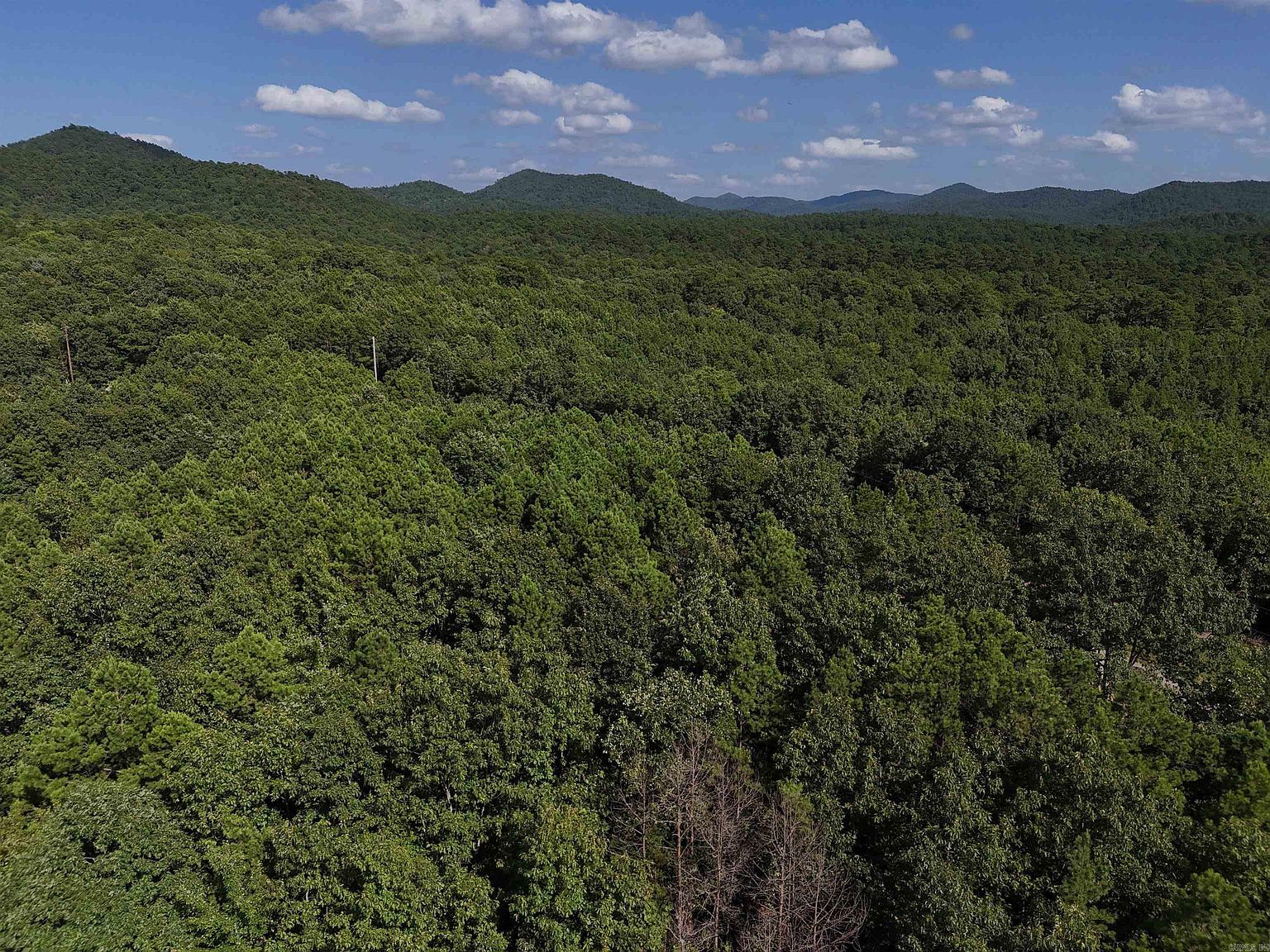 11 Polk Rd #78 Mena, AR 71953 - Thumbnail 2