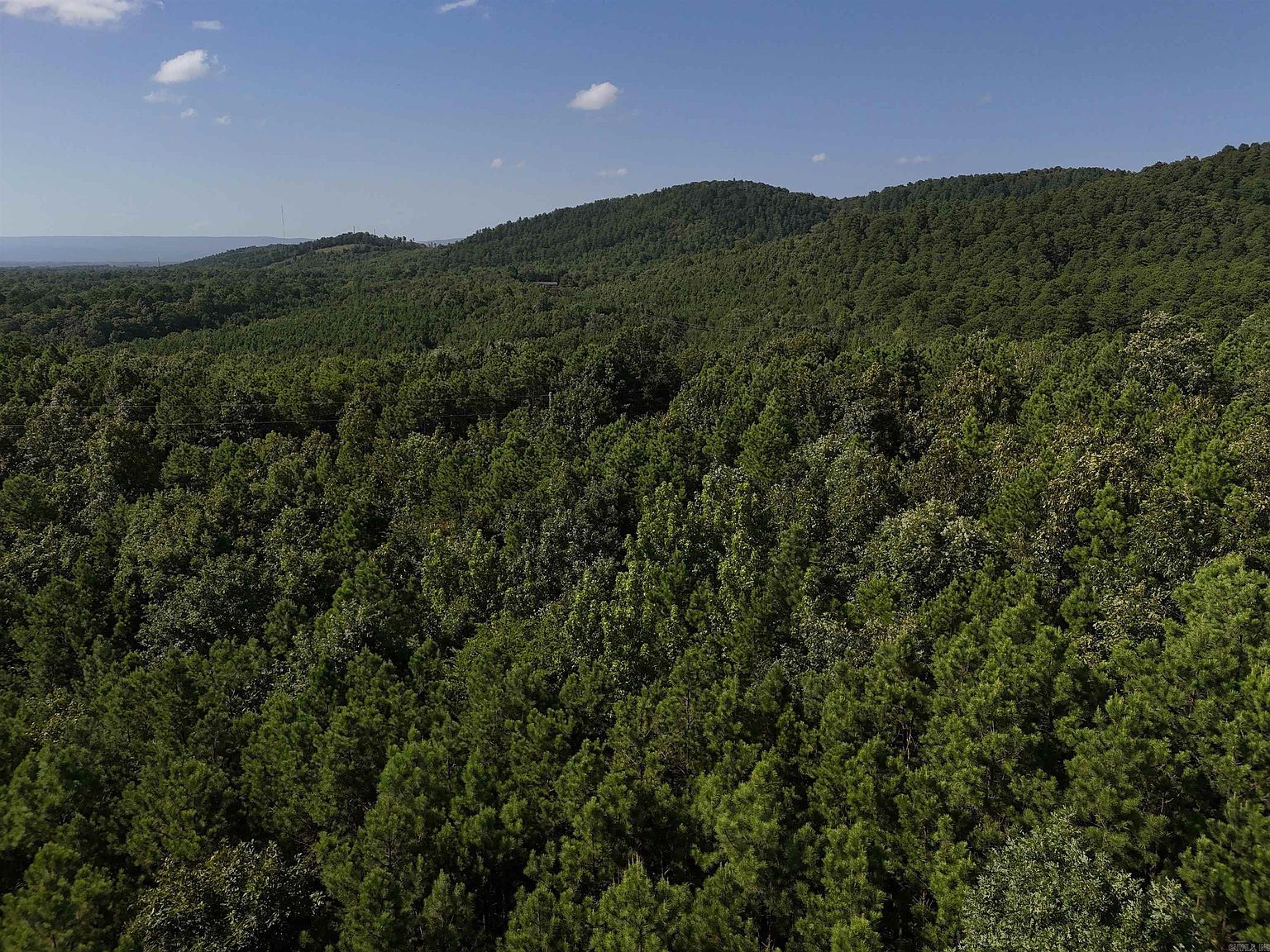 8 Polk Rd #78 Mena, AR 71953 - Thumbnail 2