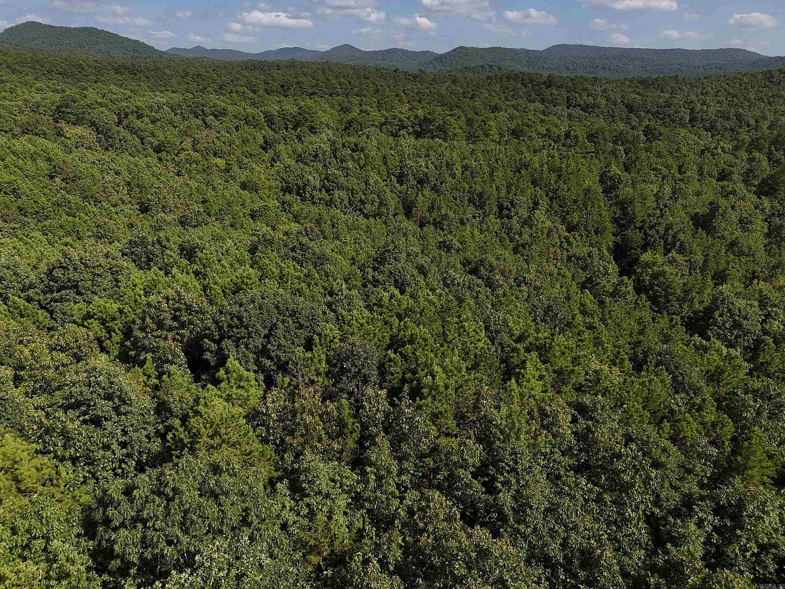 7 Polk Rd #78 Mena, AR 71953 - Thumbnail 2