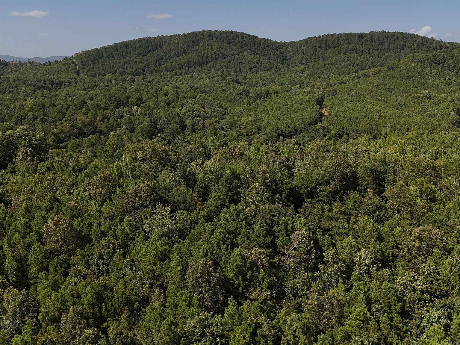 1 Polk Rd #78 Mena, AR 71953 - Thumbnail 2