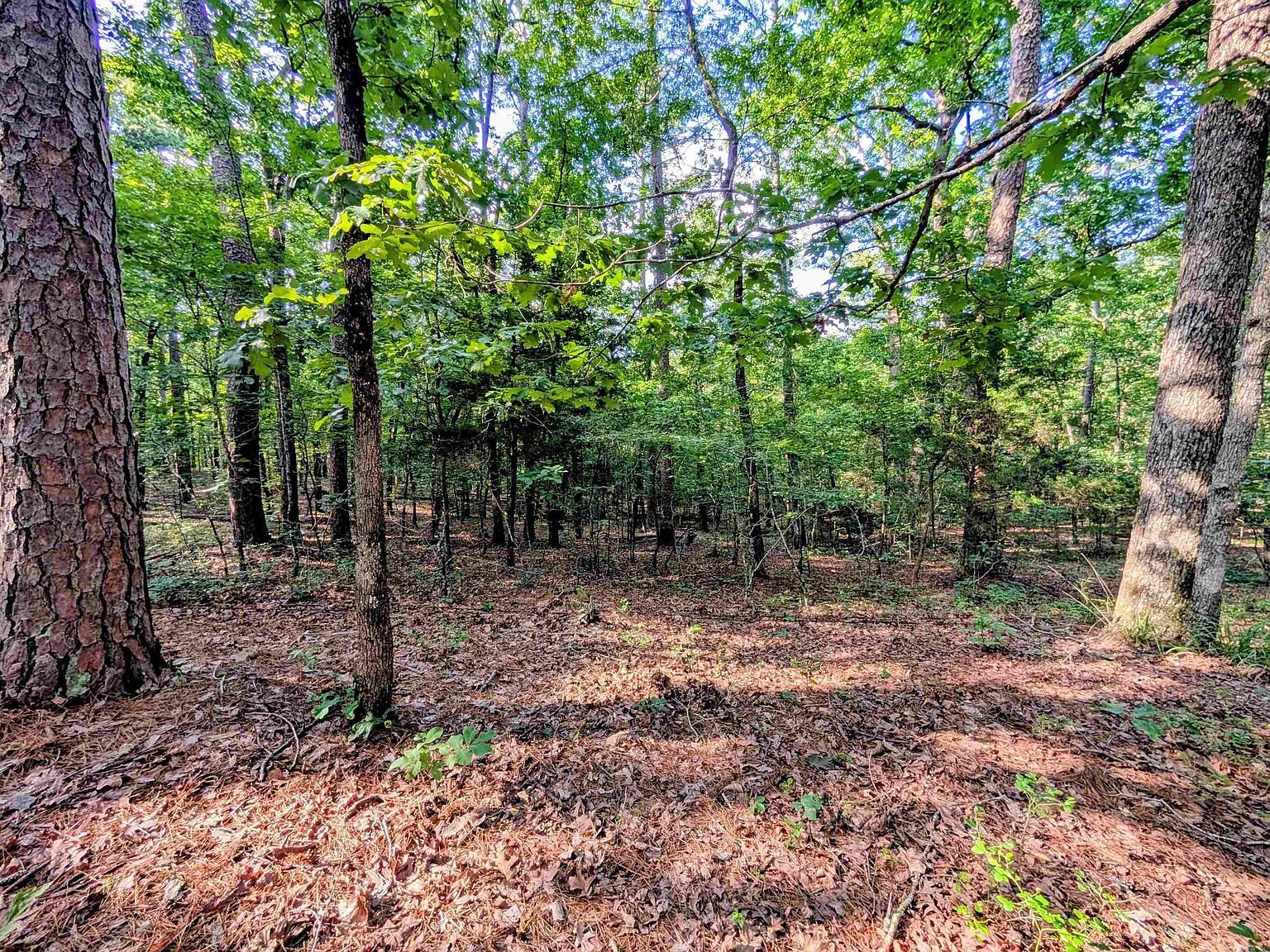 198 Cathedral Pines Ln Mena, AR 71953, 71953
