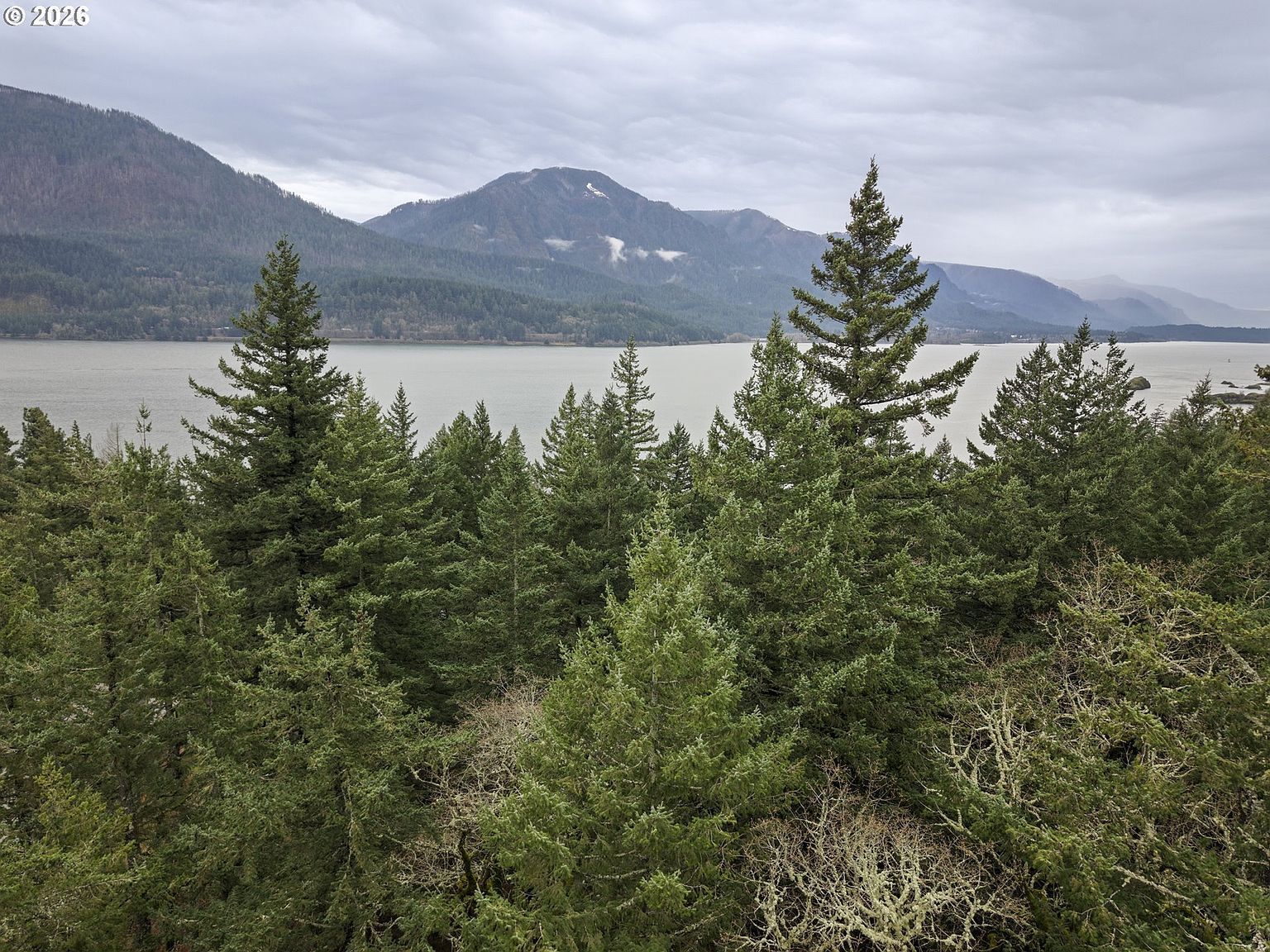 Seward Rd Carson, WA 98610 - Thumbnail 2