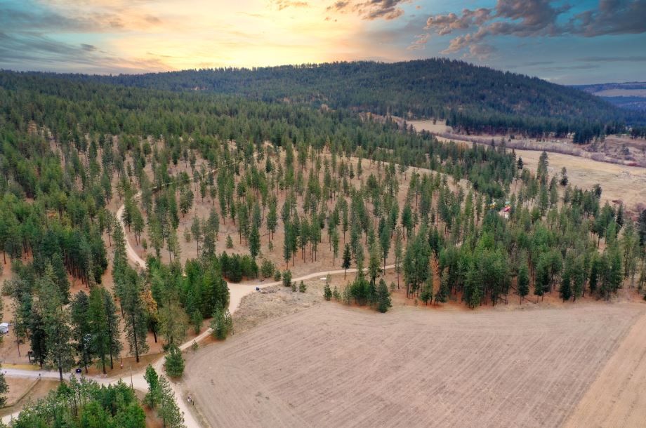 5687-U Corkscrew Canyon Rd, Tumtum, WA, 99034  | Land/Lot