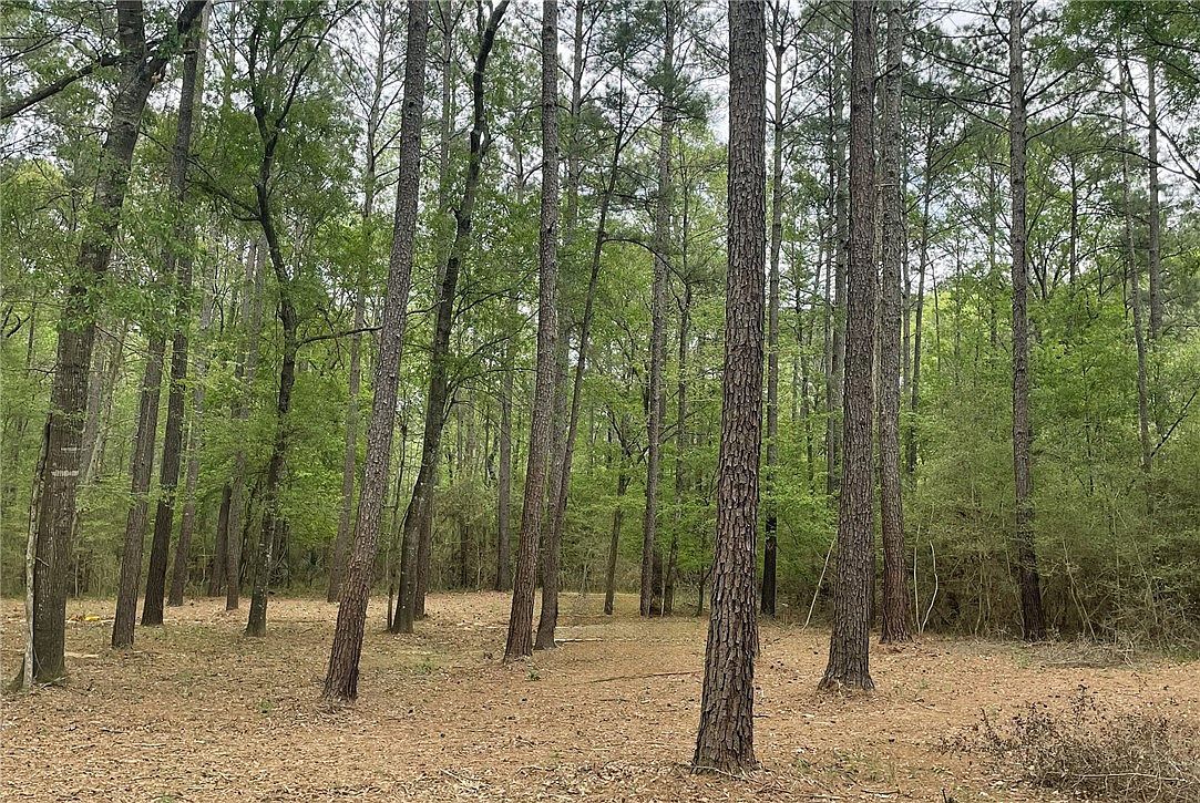 2 & 3 Remington Rd Huntsville, TX 77340, 77340