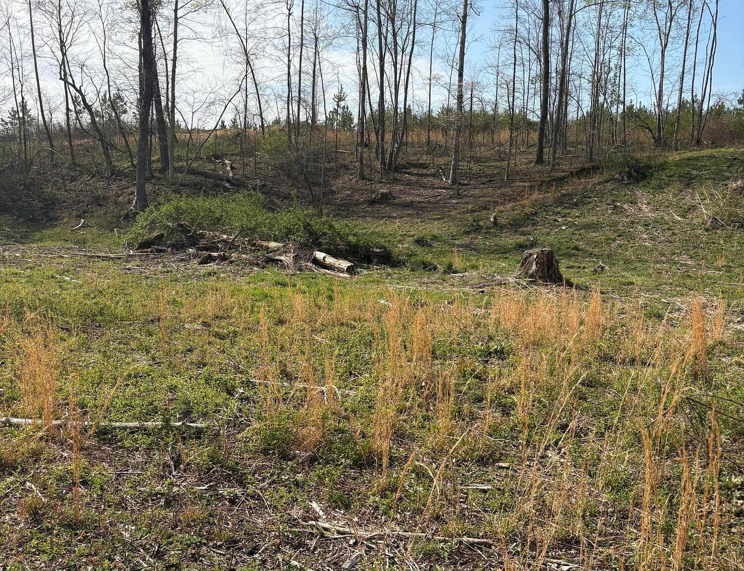 706 Arwine Rd Decatur, TN 37322  | Land/Lot