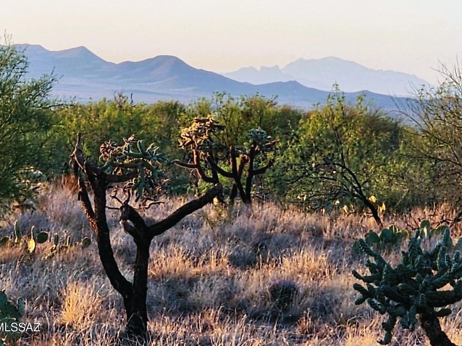 15035 S Muldoon Ave #115 Tucson, AZ 85736 - Thumbnail 2