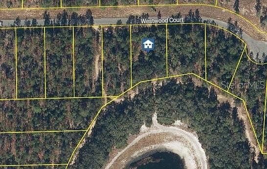 115 Westwood Dr Lot 25 Interlachen, FL 32148 - Thumbnail 2