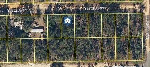111 Yeatts Ave Lot 80 Interlachen, FL 32148 - Thumbnail 2