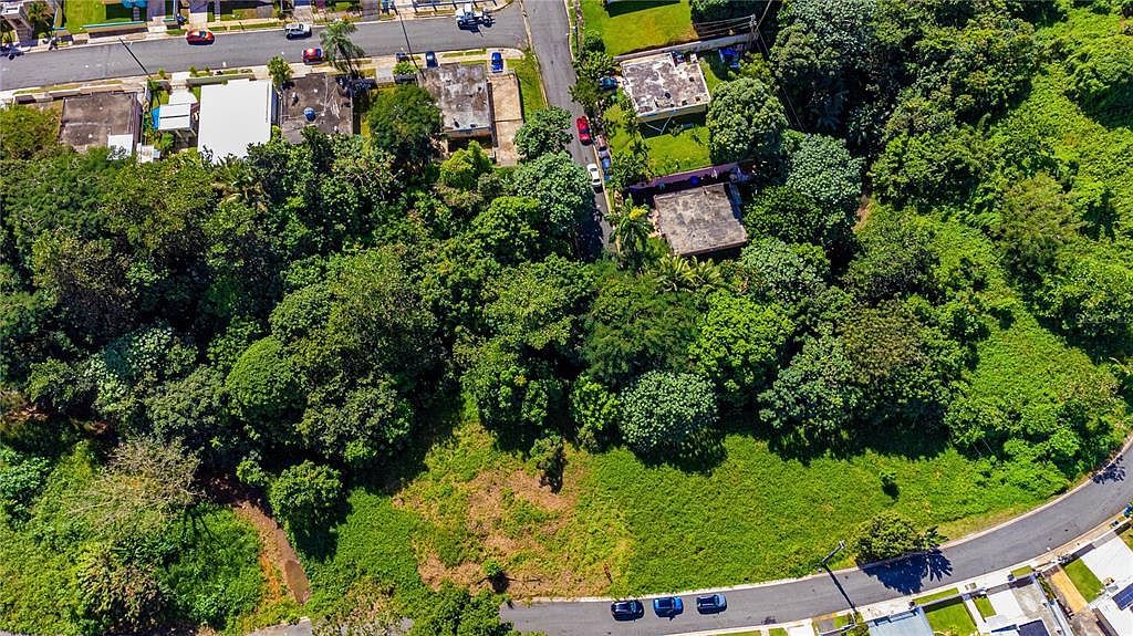 Urb Reparto Leon Bo Quebrada Cruz Toa Alta, PR 00953 - Thumbnail 2