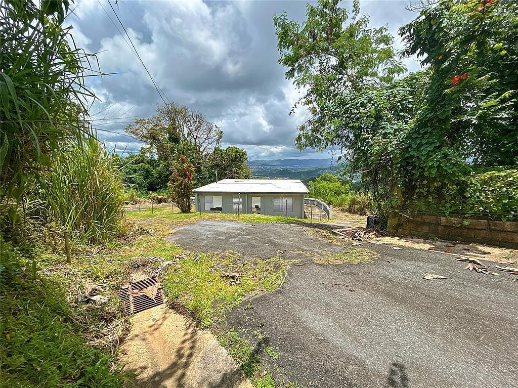 Bo Borinquen Carr #763 Caguas, PR 00725 - Thumbnail 2