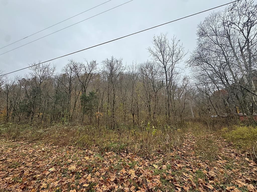 0 Pine Lick Rd Whitleyville, TN 38588 - Thumbnail 2