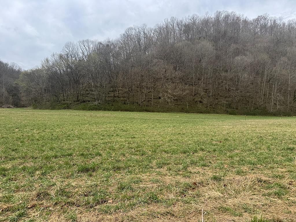 561 Pine Lick Rd Whitleyville, TN 38588 - Thumbnail 2