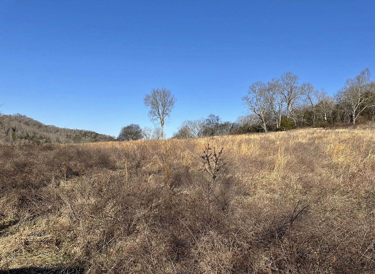 0 Salt Lick Creek Rd Lot 6 Gainesboro, TN 38562  | Land/Lot