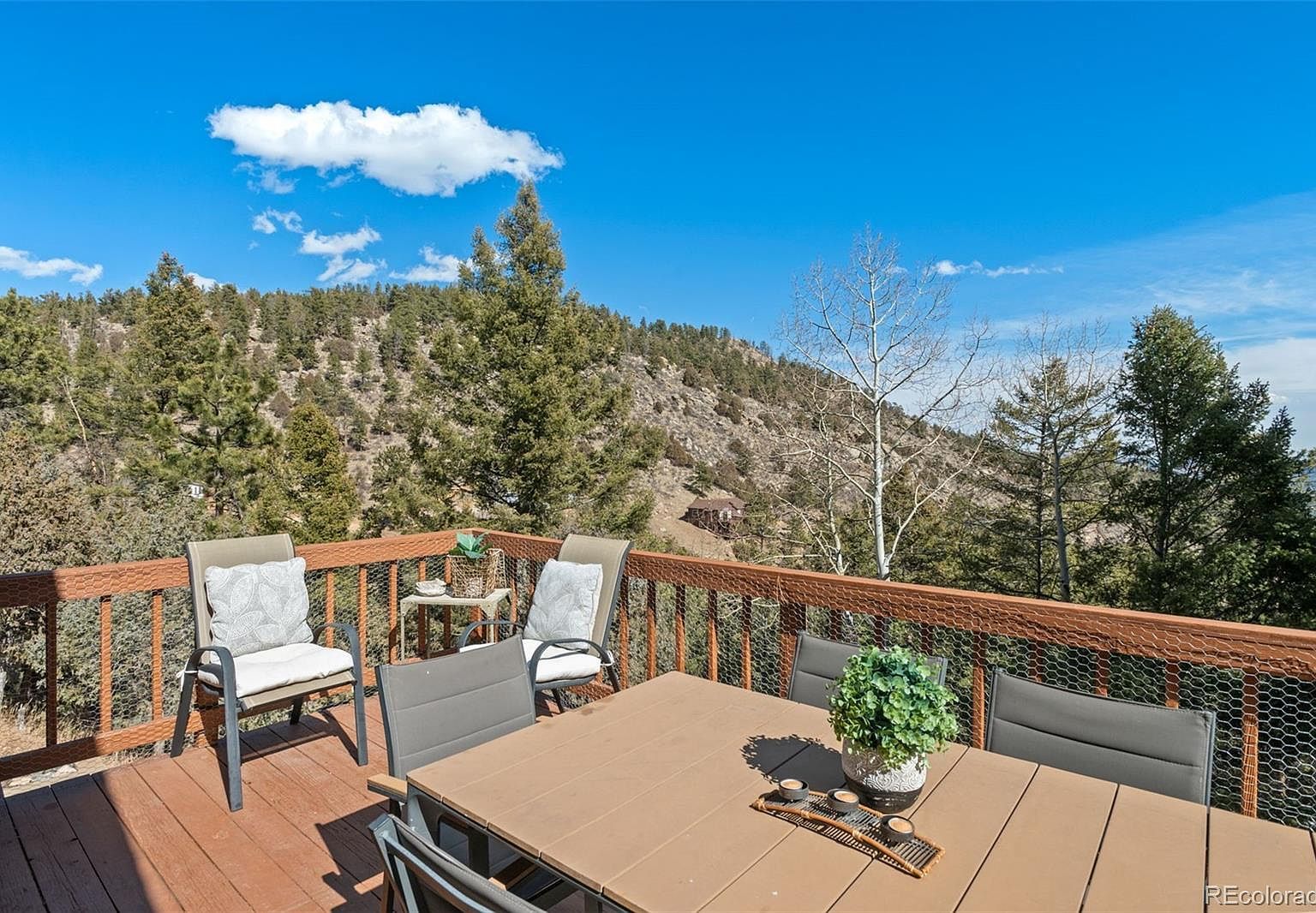 28100 Stonecrop Trl Conifer, CO 80433 - Thumbnail 2