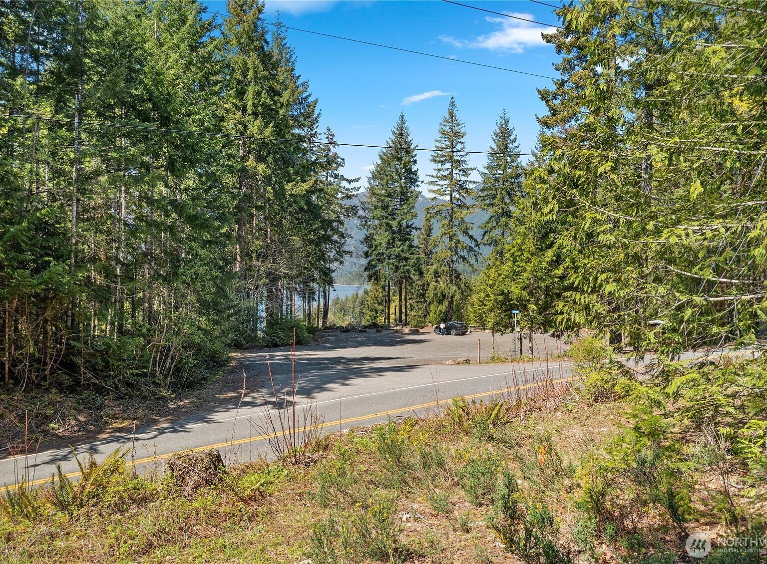 0 N White Tail Trl Hoodsport, WA 98548, 98548