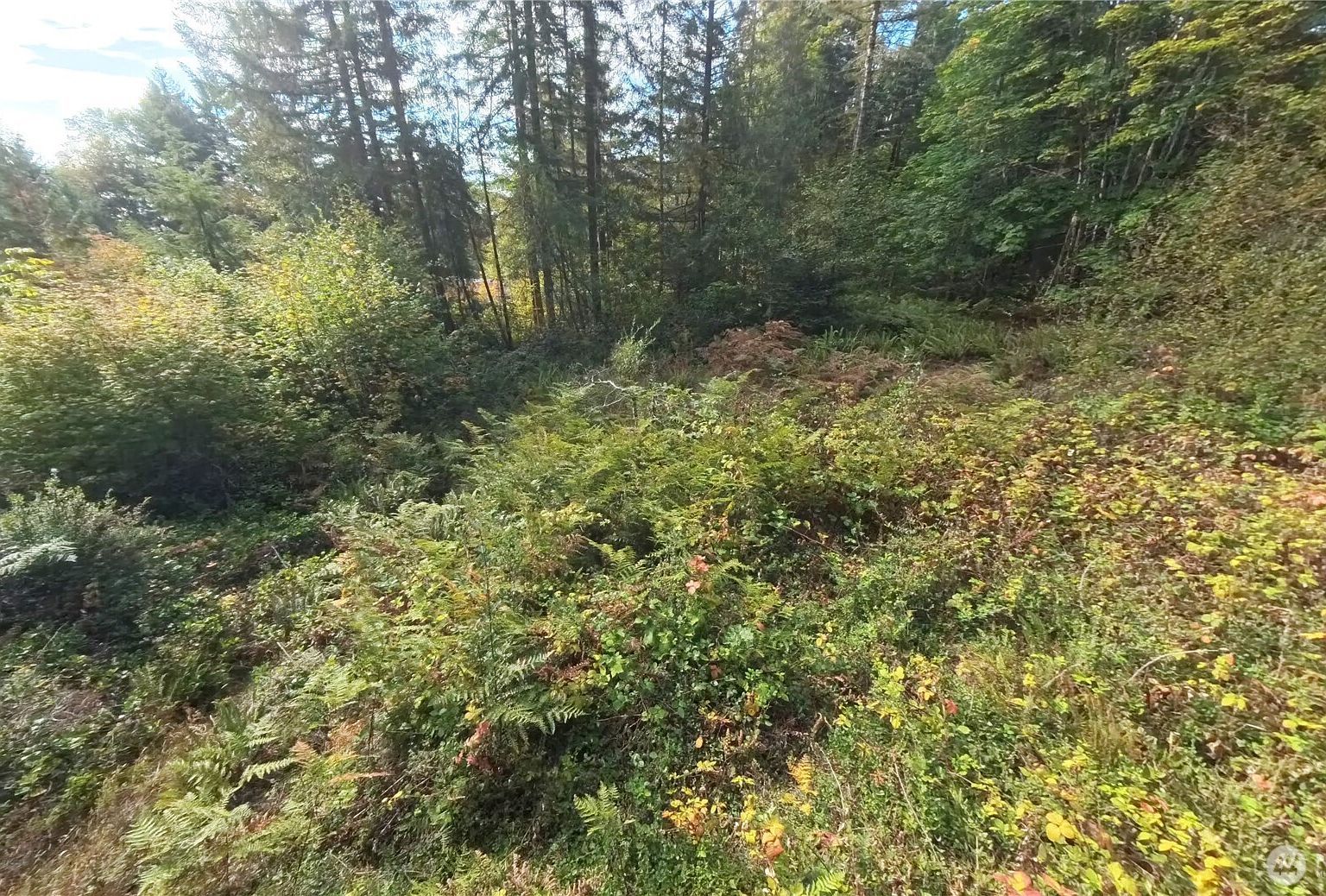 LOT 130 B Pln #15 Hoodsport, WA 98548 - Thumbnail 2