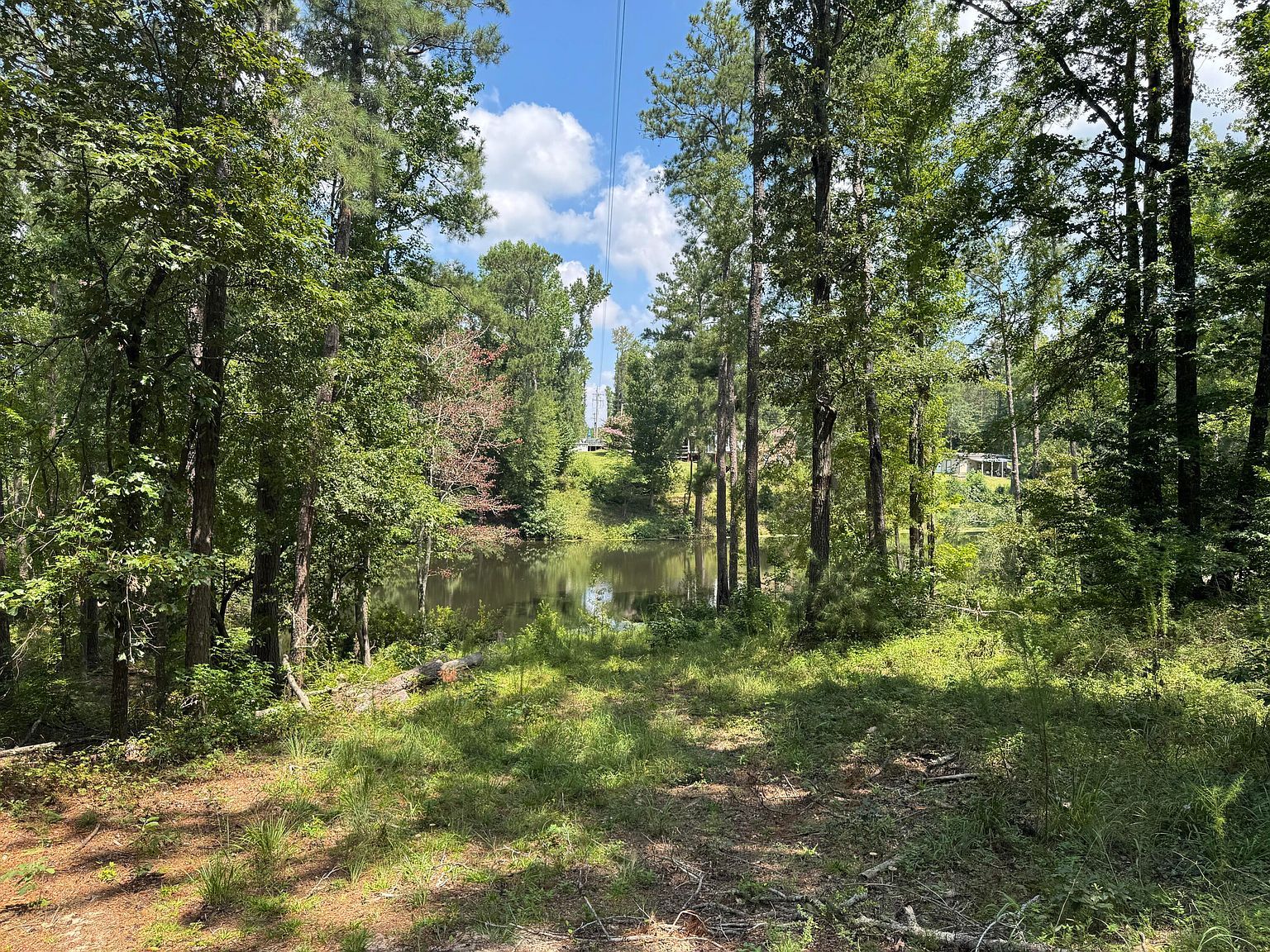 0 Hummingbird Dr Trenton, SC 29847 - Thumbnail 2