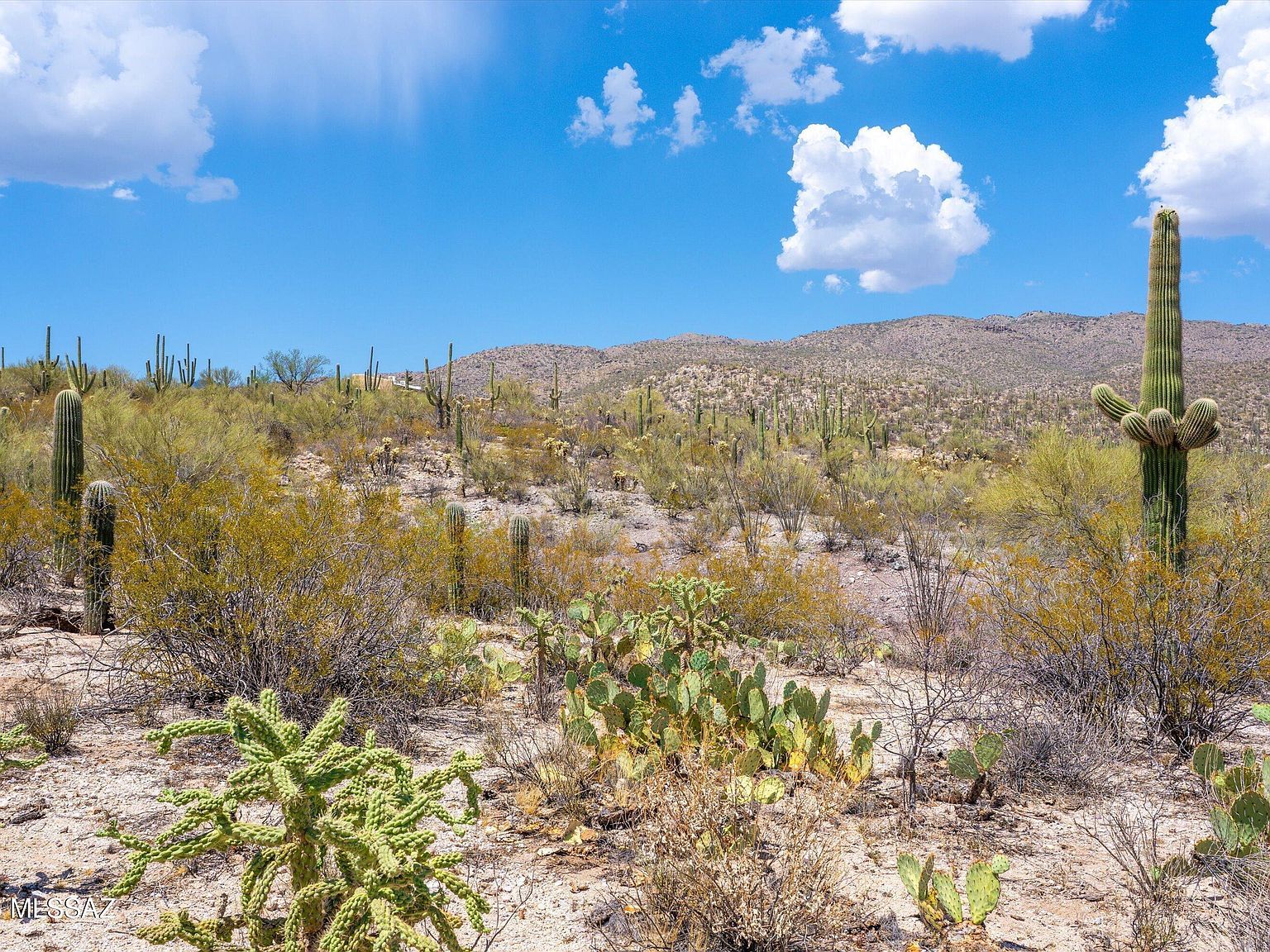 13701 E Placita Nido Del Aguila Tucson, AZ 85749, 85749