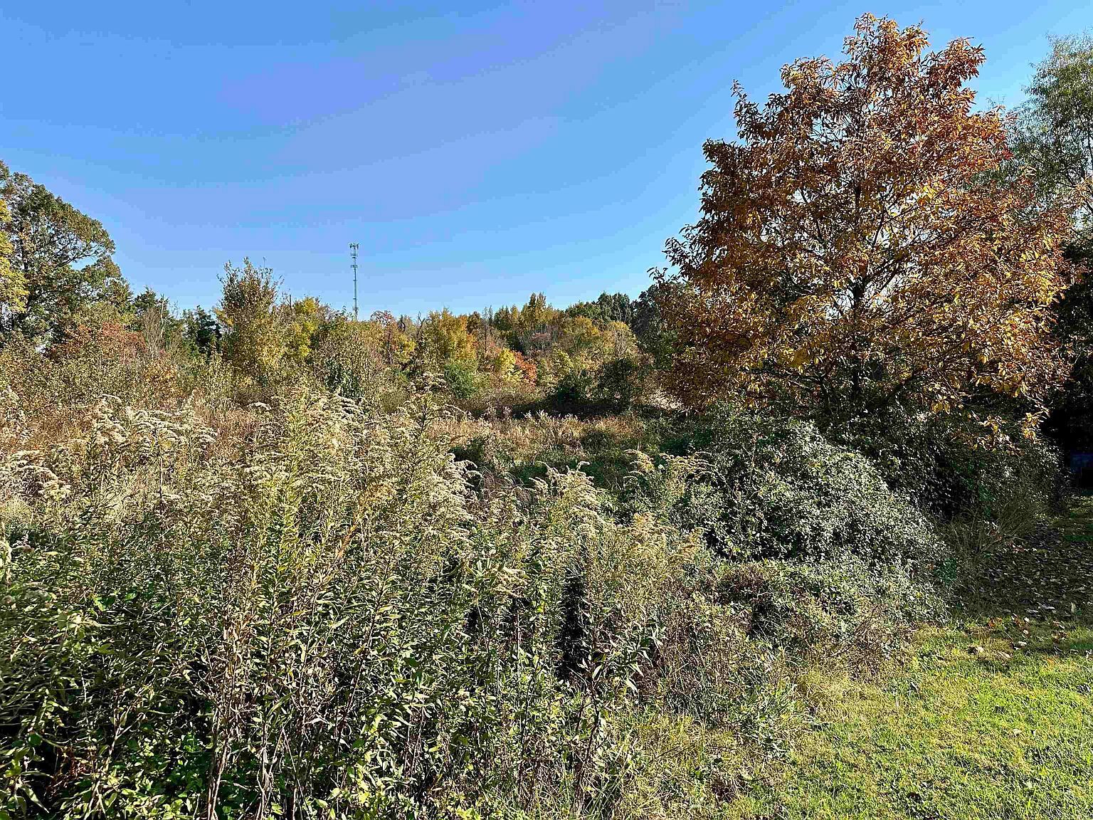 2353 County Road 760 Jonesboro, AR 72405 - Thumbnail 2