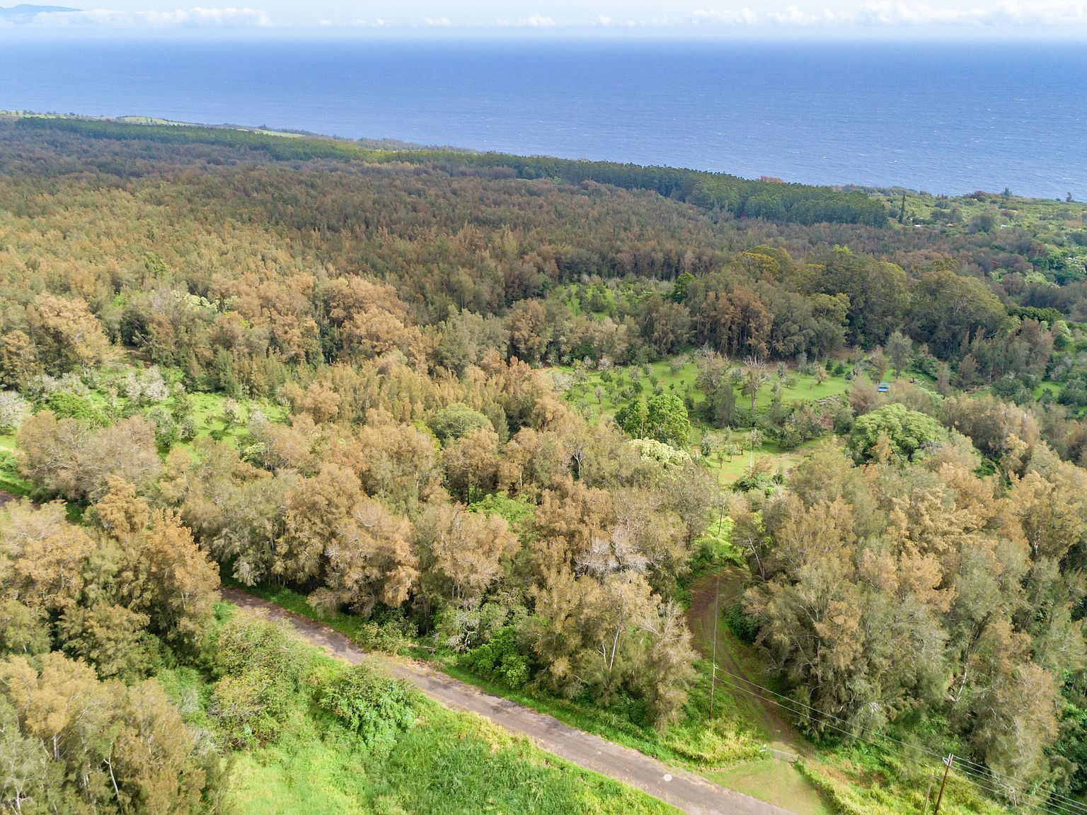 47-4630 Cane Haul #1 Honokaa, HI 96727 - Thumbnail 2