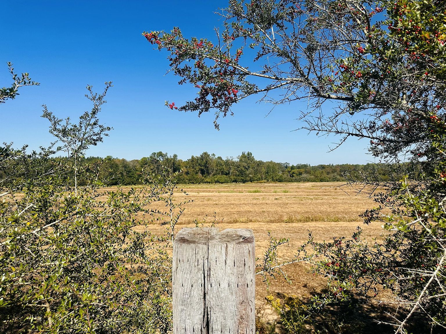 LOT 7 E Highway 2 Bonifay, FL 32425 - Thumbnail 2