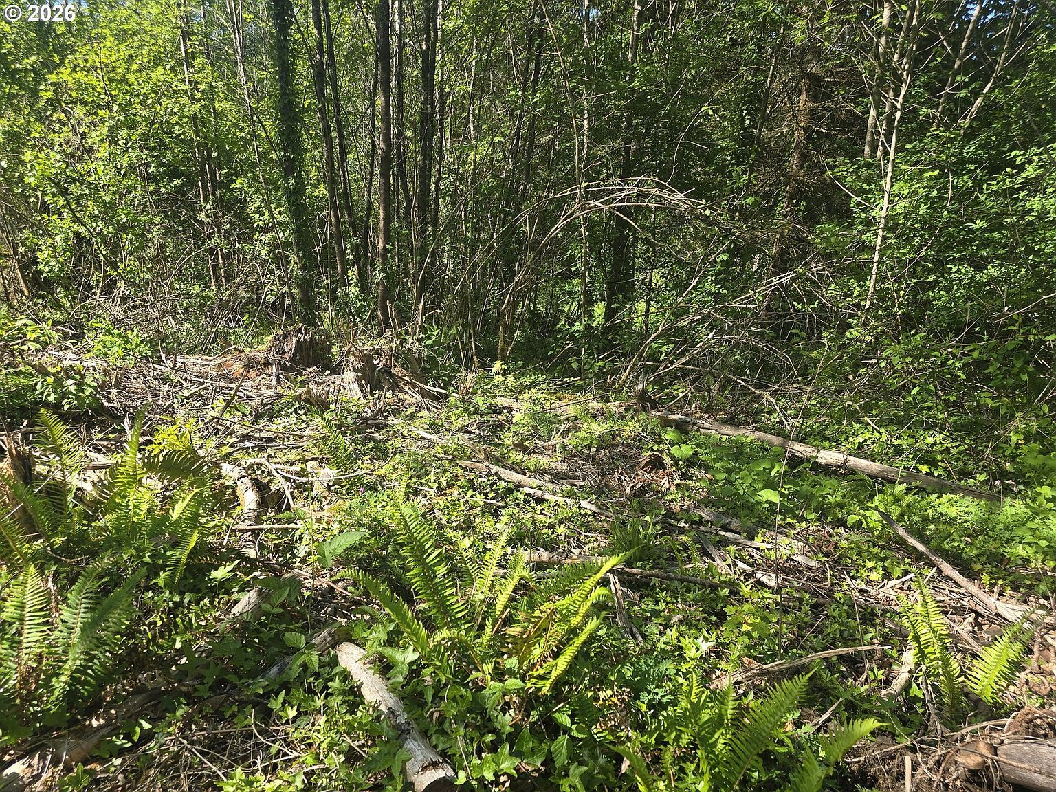 Bear Rd Seaside, OR 97138 | Land/Lot