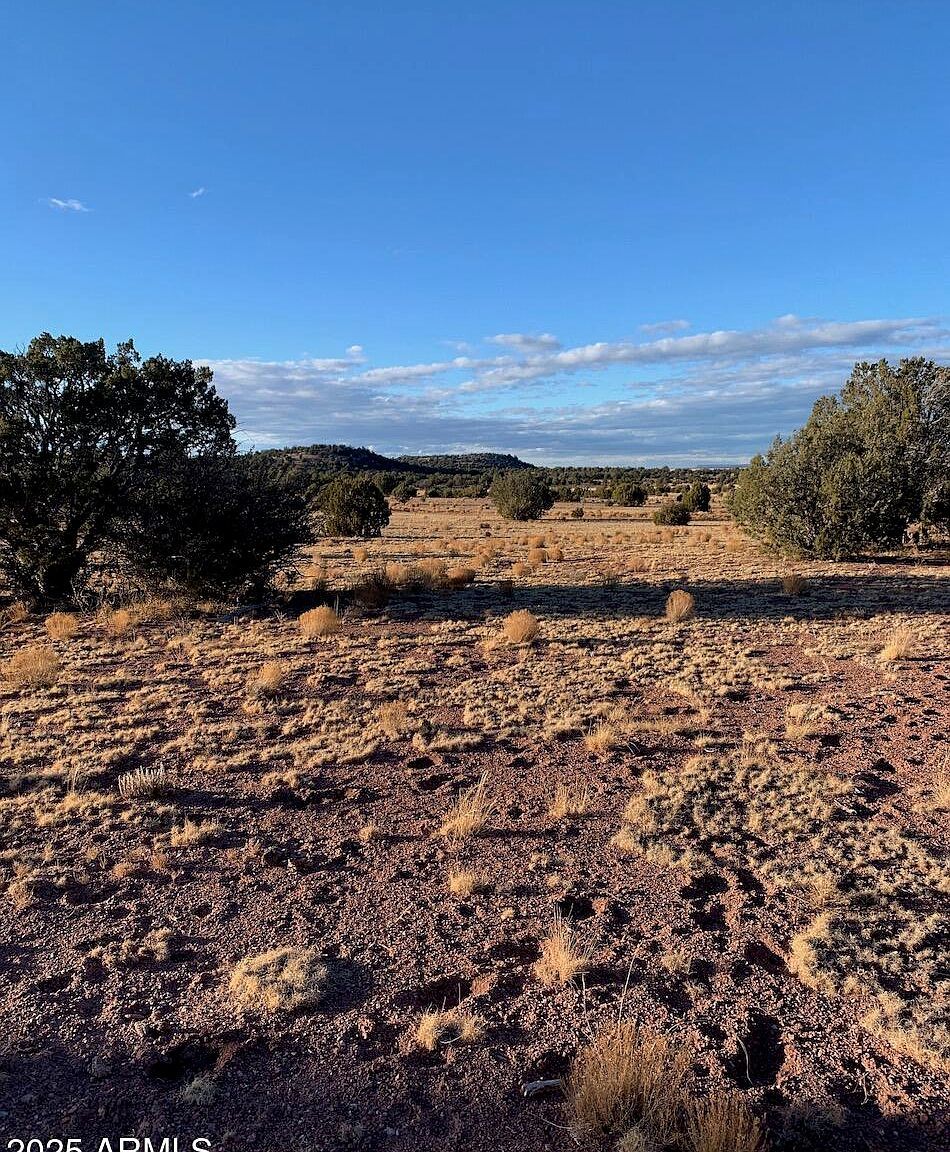 440 N Antelope Dr #440 Seligman, AZ 86337 - Thumbnail 2