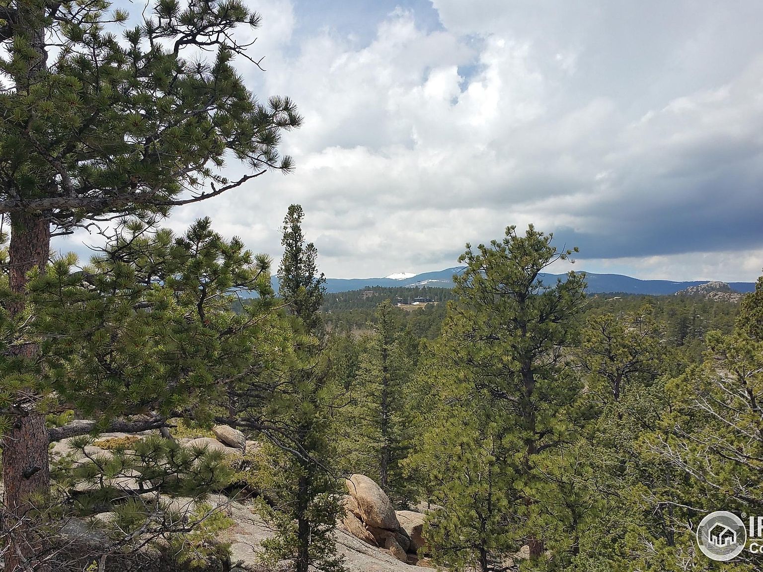 2928 Fox Acres Dr E Red Feather Lakes, CO 80545 - Thumbnail 2