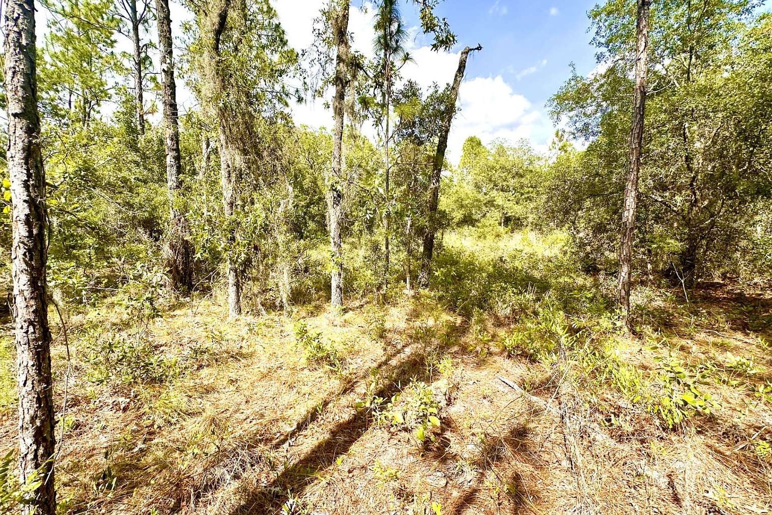 10361 SE 126th Belle Glade, FL 33430 - Thumbnail 2