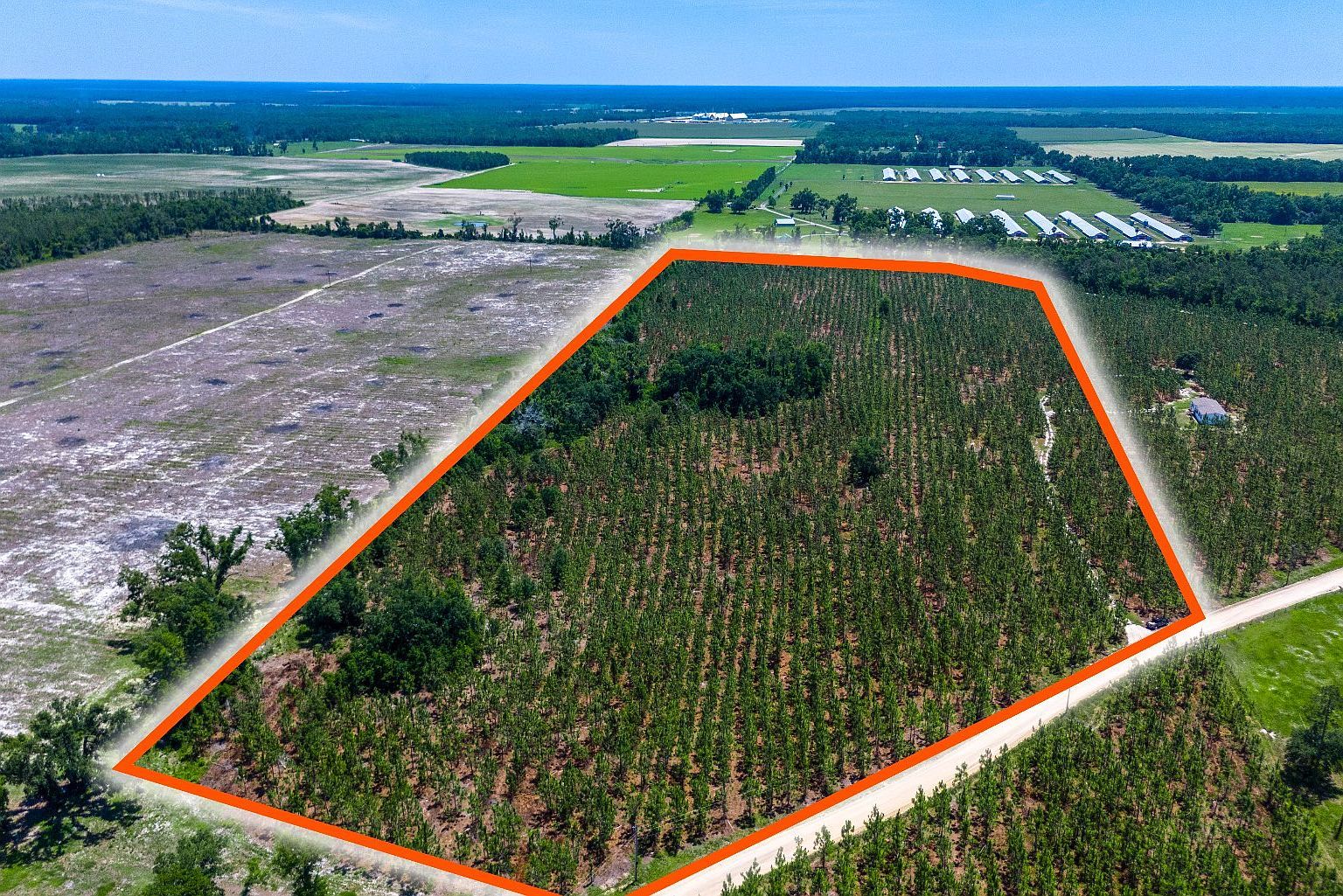 0 SE Coolidge Ave Lee, FL 32059 - Thumbnail 2