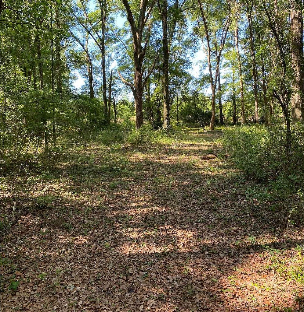 4 NW West South Dr LOT 127 Mayo, FL 32066 - Thumbnail 2