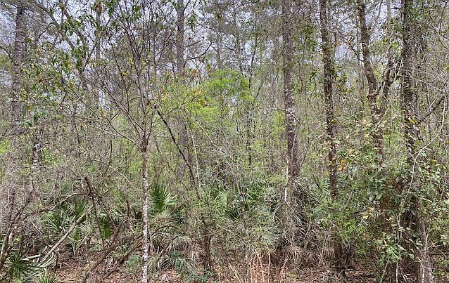 17 SE Elisha Blvd LOT 55 Branford, FL 32008 - Thumbnail 2