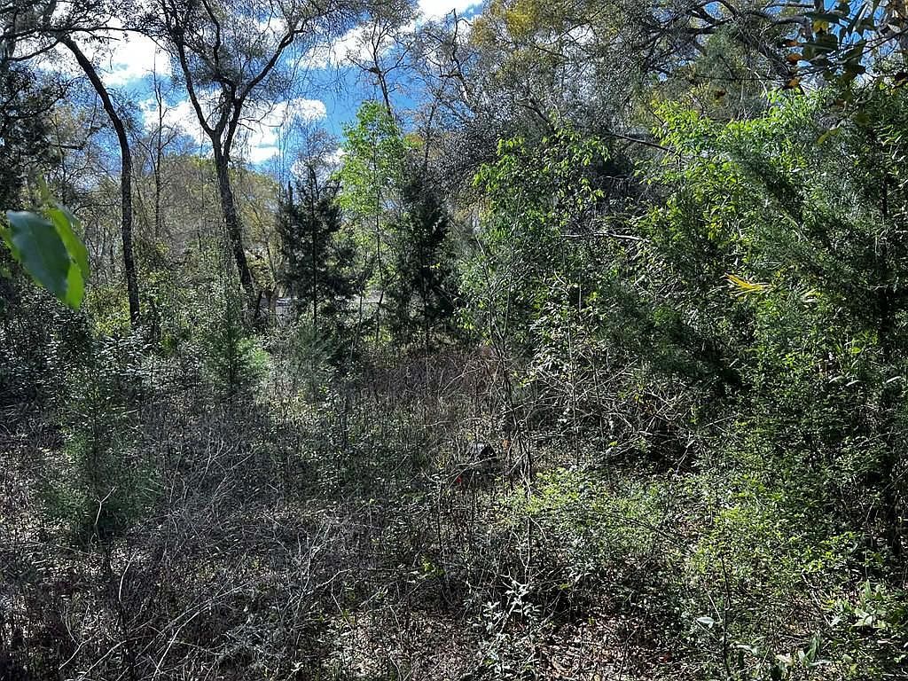 164 SE 935th St Old Town, FL 32680  | Land/Lot