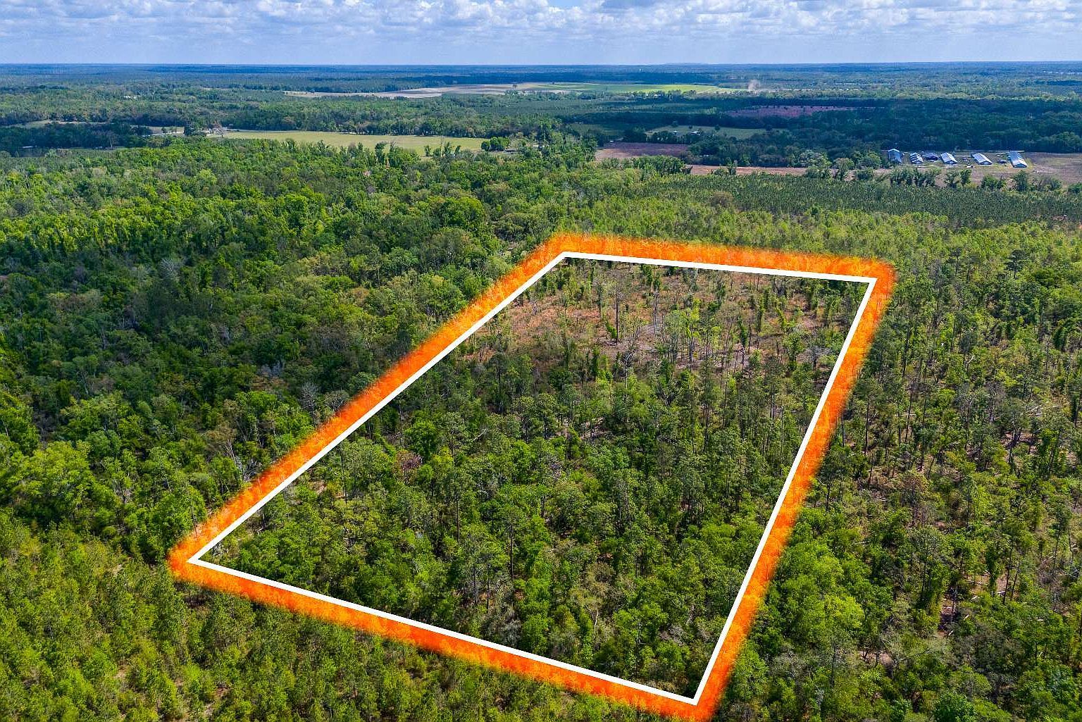 County Road 132 Live Oak, FL 32060  | Land/Lot