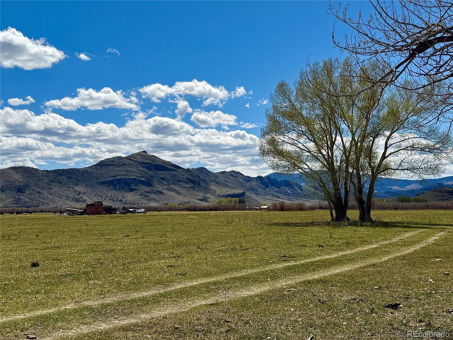 Hazard Ranch Sub Saguache, CO 81149  | Land/Lot