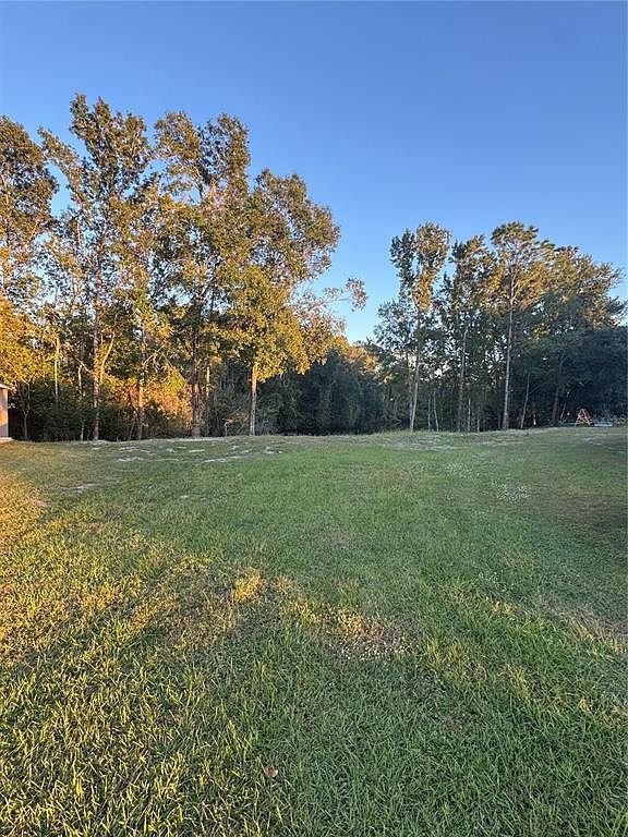 0 Eagle Blvd LOT 13 Land O Lakes, FL 34639 - Thumbnail 2