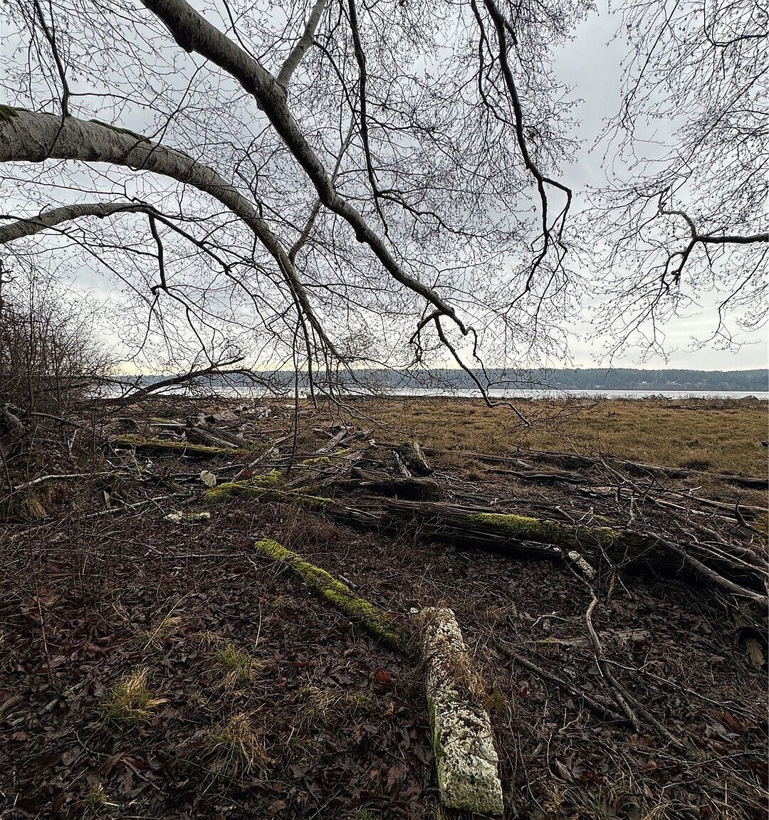 0 Hazel Point Rd Quilcene, WA 98376 - Thumbnail 2