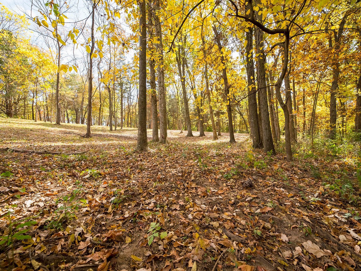 LOT 6 N Locust Grove Church Rd Columbia, MO 65202 - Thumbnail 2