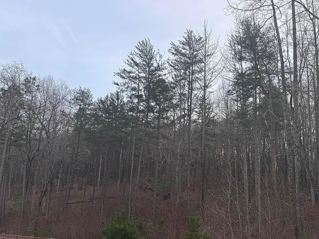 202 Emma Ter Dawsonville, GA 30534 - Thumbnail 2