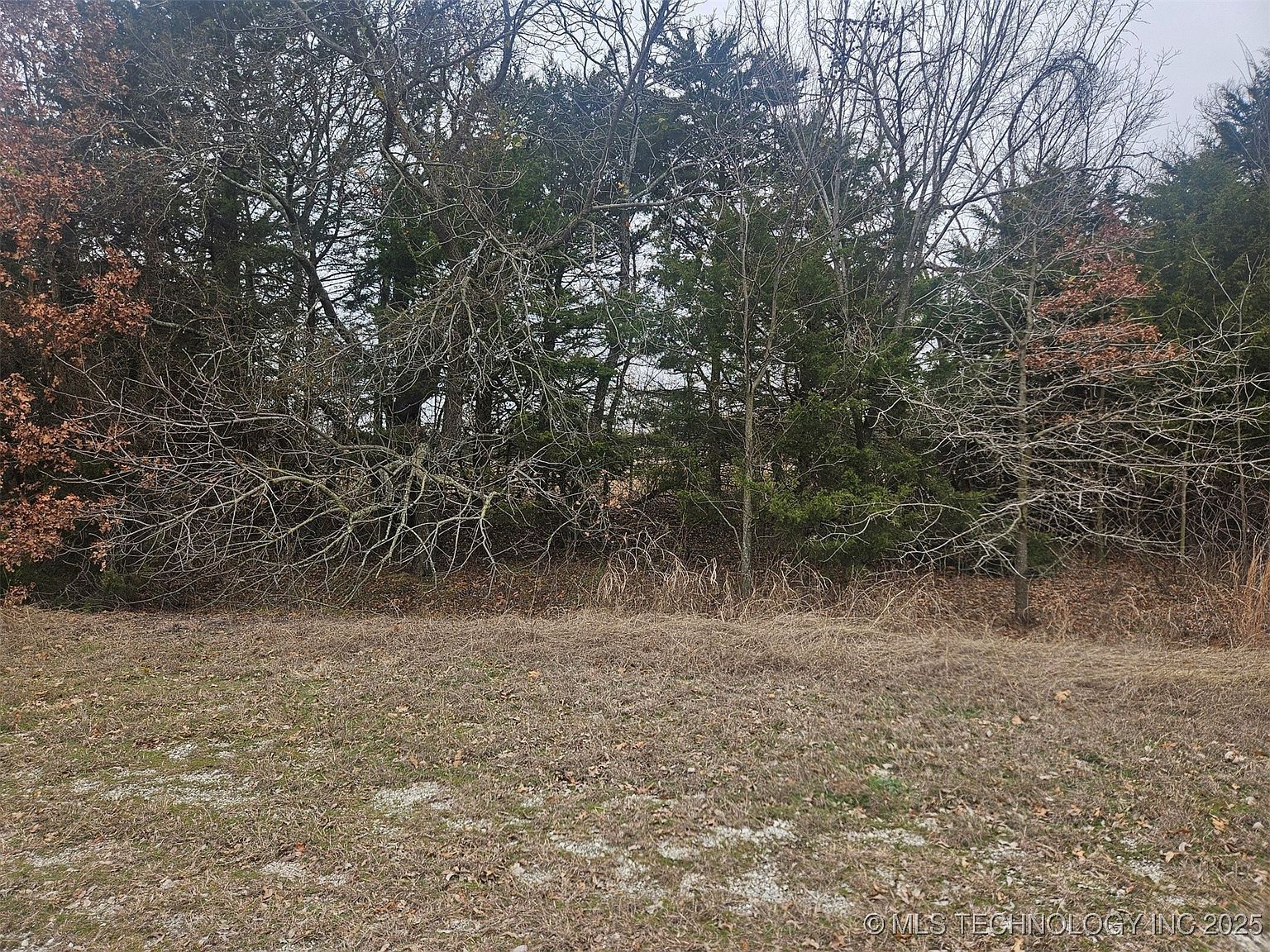 Red River Ave Burneyville, OK 73430 - Thumbnail 2