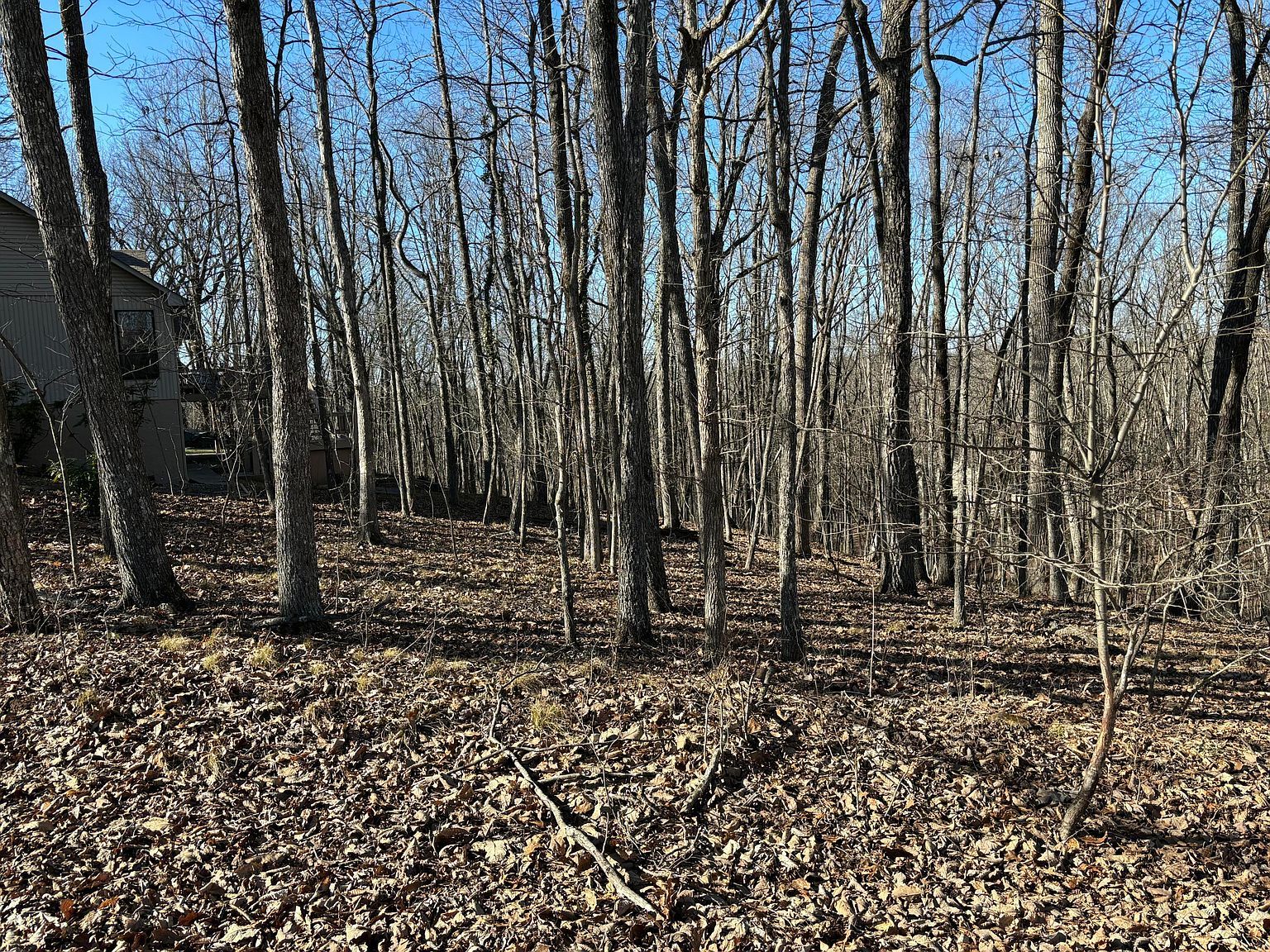 239 Amherst Ln Fairfield Glade, TN 38558 - Thumbnail 2