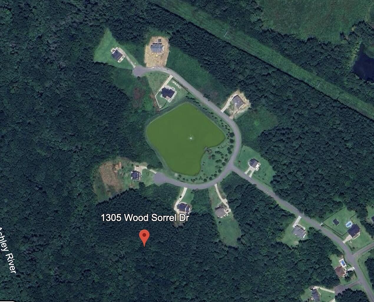 1305 Wood Sorrel Dr Moncks Corner, SC 29461 - Thumbnail 2