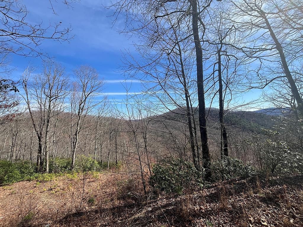 0 Crisscross Ln #20-21 Tuckasegee, NC 28783 - Thumbnail 2