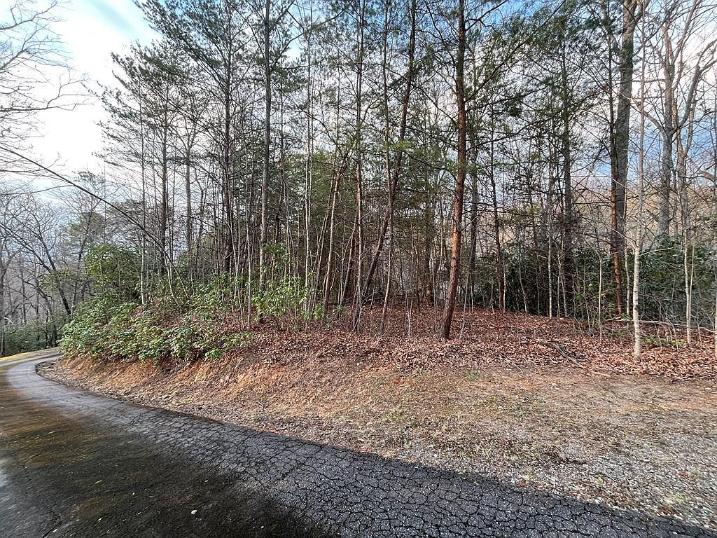 70 Canvasback Ct Whittier, NC 28789  | Land/Lot