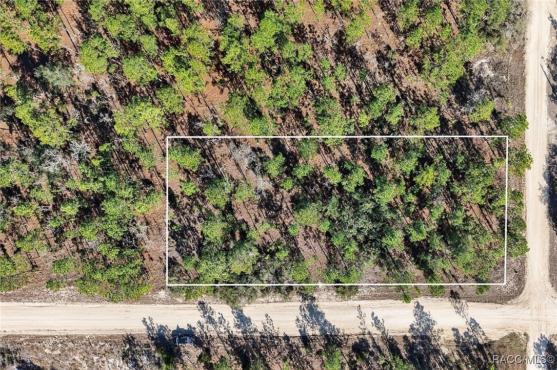 0 SE 2nd St Lot 6 Williston, FL 32696 - Thumbnail 2