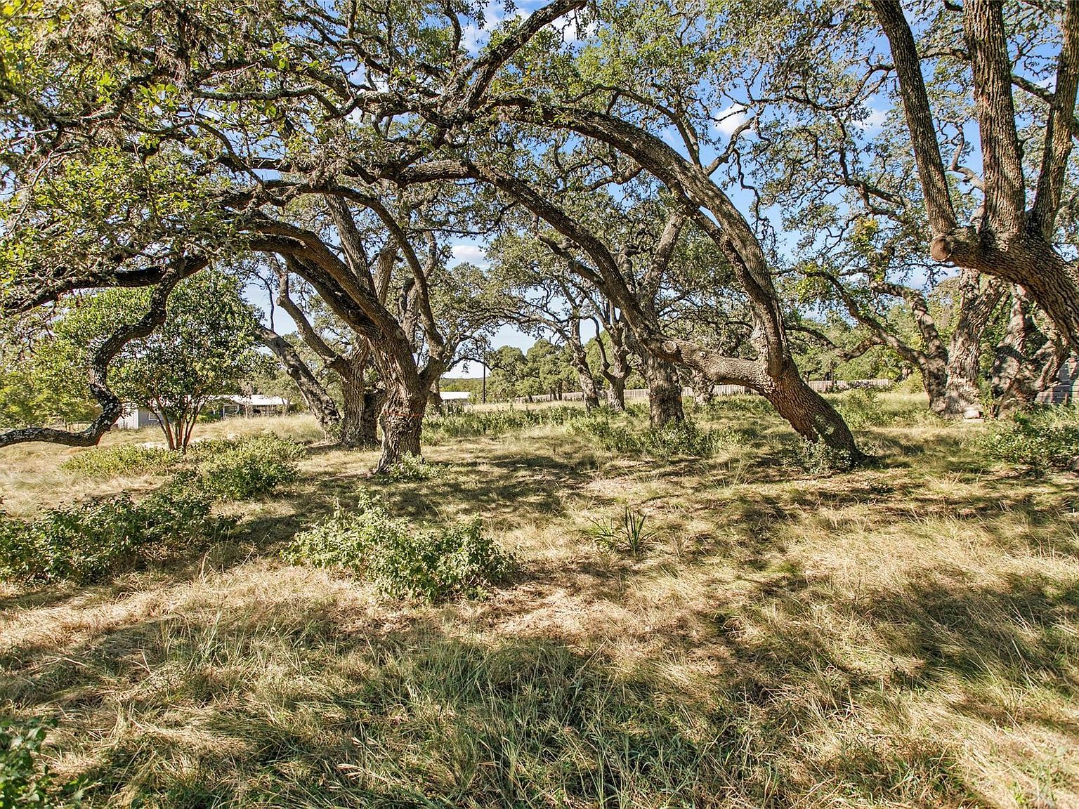 1314 Greenlawn Pkwy Blanco, TX 78606, 78606