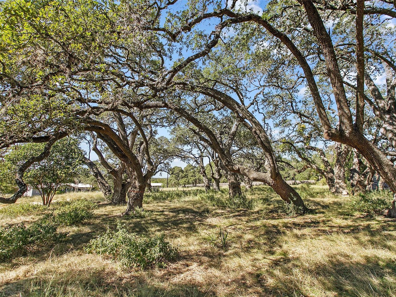 1316 Greenlawn Pkwy Blanco, TX 78606, 78606