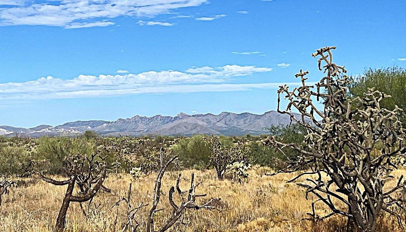 3035 S Corte Amarilla #22 Green Valley, AZ 85614 - Thumbnail 2