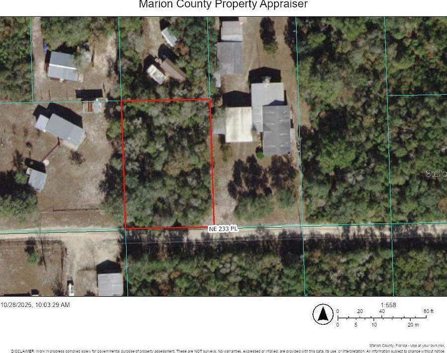 NE 233rd Pl LOT 12 Fort Mc Coy, FL 32134 - Thumbnail 2